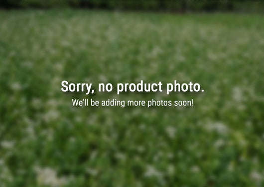 Marshall Annual Ryegrass