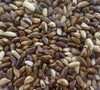 Teosinte - 15 LB. Bag